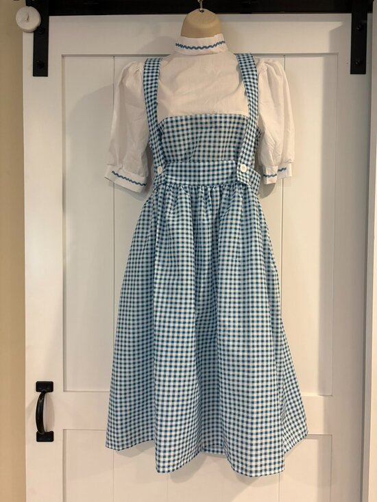 Halloween Costumes Dresses & Skirts - Halloween Costume, Dorothy from Wizard of OZ, size XS